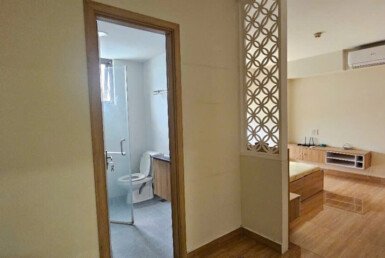 ban-can-ho-saigon-south-residences (4)