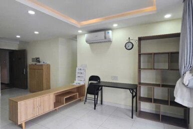 ban-can-ho-saigon-south-residences (8)