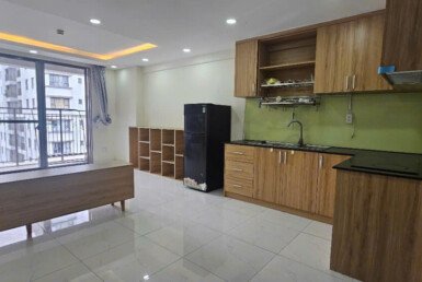 ban-can-ho-saigon-south-residences (9)