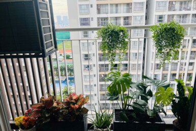 ban-can-ho-scenic-valley-1 (1)