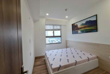 cho-thue-can-ho-saigon-south-residences (4)