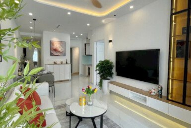 cho-thue-can-ho-sky-garden-3 (9)