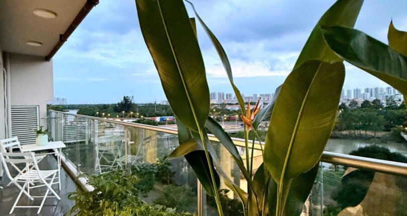 gen h z6825595500695 2b4ed82afac54feeec50975b6fc4240d 1 810x430 - Cho thuê Scenic Valley 1 Block B Tầng 5 dt 133m 3 phòng giá 48 triệu