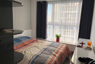 phong-ngu-can-ho-cho-thue