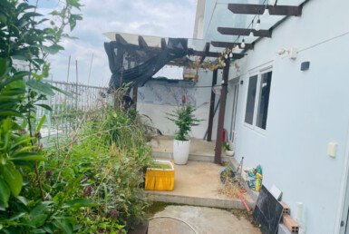 san-vuon-can-ho-penthouse-ban