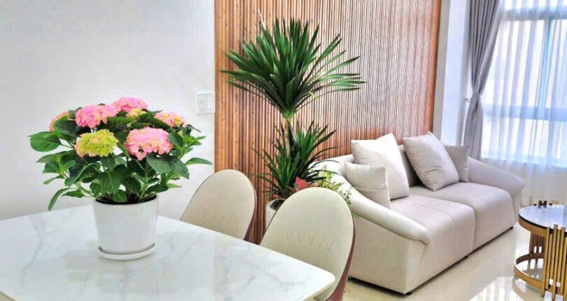 ban can ho sky garden 1 2 1 810x430 - Bán nhanh căn hộ đẹp tại Sky Garden 1. DT 81m2 Decor 3 Phòng-2wc- Nhà trống tặng nội thất vào ở ngay. Giá 5.480 Tỷ