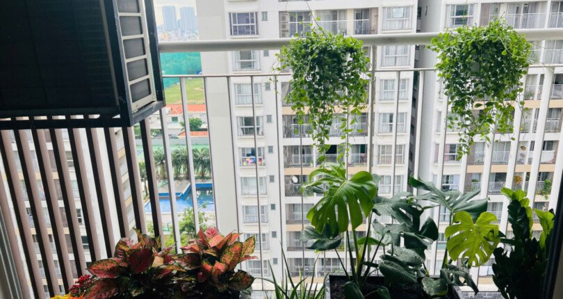 ban cong phong khach 810x430 - Mua bán căn hộ 77m2 tòa nhà G chung cư Scenic Valley 1 giá 6,8 tỷ