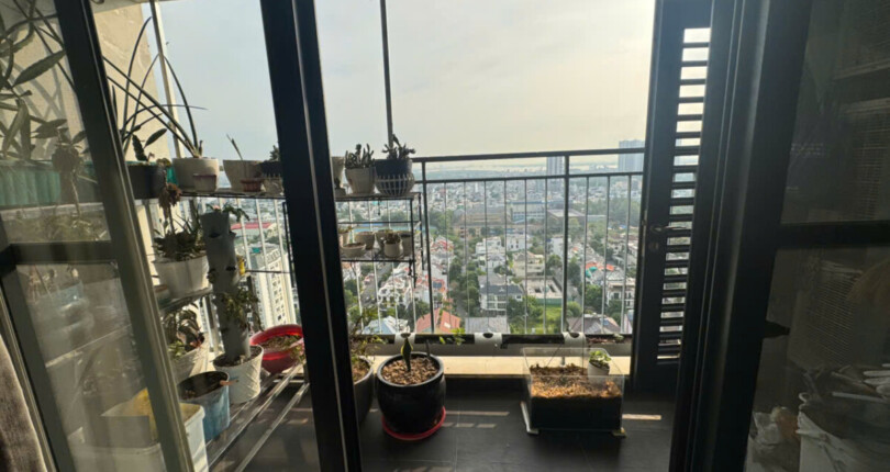 ban cong phong khach can ho 2 810x430 - Giá mua bán căn hộ 3pn số 05 tòa nhà A chung cư Nam Phúc Le Jardin phường Tân Mỹ T8/2025