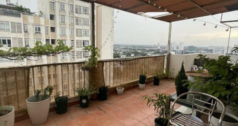 ban cong san thuong penthouse ban 810x430 - Giá mua bán Penthouse 6 phòng ngủ chung cư Sky Garden 3 phường Tân Hưng T8/2025