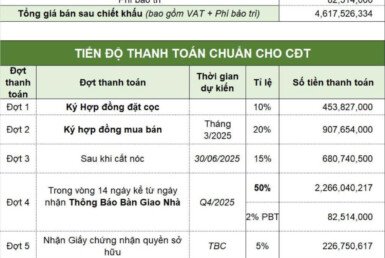 bang-tien-do-thanh-toan-chi-tiet-can-ho-ban
