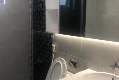 cho-thue-can-ho-saogon-south residences (3)