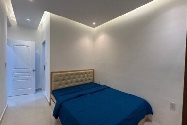 cho-thue-can-ho-sky-garden-3 (5)