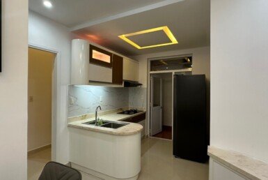 cho-thue-can-ho-sky-garden-3 (6)