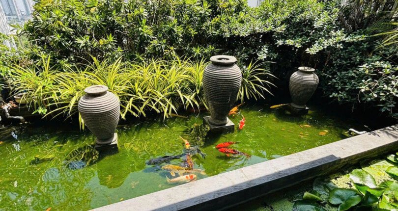cho thue penthouse sky garden 2 12 810x430 - Cho thuê nhanh Penthouse Sky Garden 1. DT 337m2 Nhà đẹp- 2 sân vườn- 4 phòng ngủ- Nội thất cao cấp- Giá 2.300 USD/Tháng