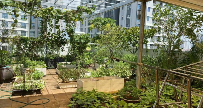 cho thue penthouse sky garden 2 16 810x430 - Cho thuê nhanh Penthouse Sky Garden 1. DT 337m2 Nhà đẹp- 2 sân vườn- 4 phòng ngủ- Nội thất cao cấp- Giá 2.300 USD/Tháng