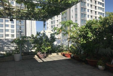 cho-thue-penthouse sky garden-2 (2)