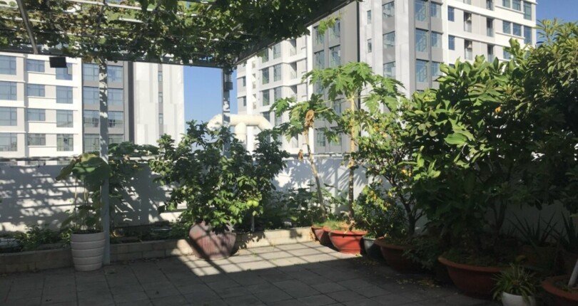 cho thue penthouse sky garden 2 2 810x430 - Cho thuê nhanh Penthouse Sky Garden 1. DT 337m2 Nhà đẹp- 2 sân vườn- 4 phòng ngủ- Nội thất cao cấp- Giá 2.300 USD/Tháng