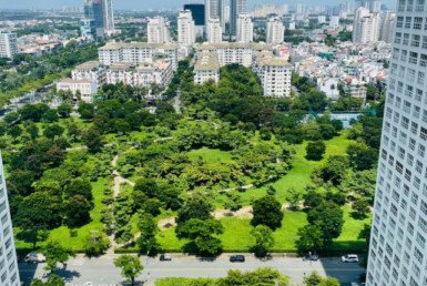 view-phong-ngu