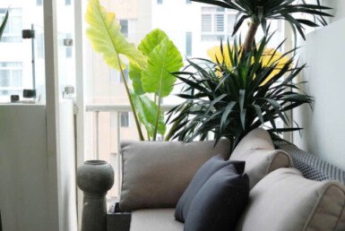 ban-pethouse sky garden 3 (8)
