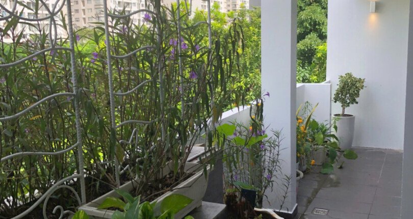 cho thue biet thu Nam thong 9 810x430 - Cho thuê biệt thự Nam Thông Phú Mỹ Hưng. Tổng DT 300m2- có thang máy- 3 Phòng-2wc- Giá thuê 2.700 USD/Tháng