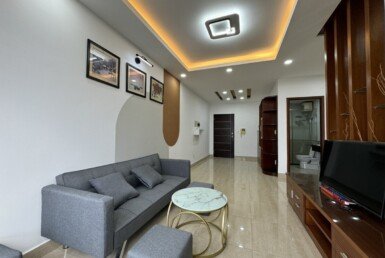 cho-thue-can-ho-sky-garden-3 (11)