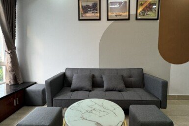 cho-thue-can-ho-sky-garden-3 (15)