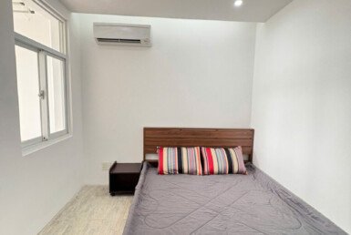 cho-thue-can-ho-sky-garden-3 (5)