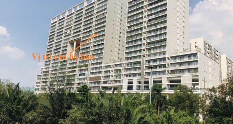 vi tri can ho ban tai chung cu scenic valley 1 phuong tan my t9 2025 810x430 - Giá mua bán căn hộ 3pn 133m2 tòa B chung cư Scenic Valley 1 Phú Mỹ Hưng T9/2025