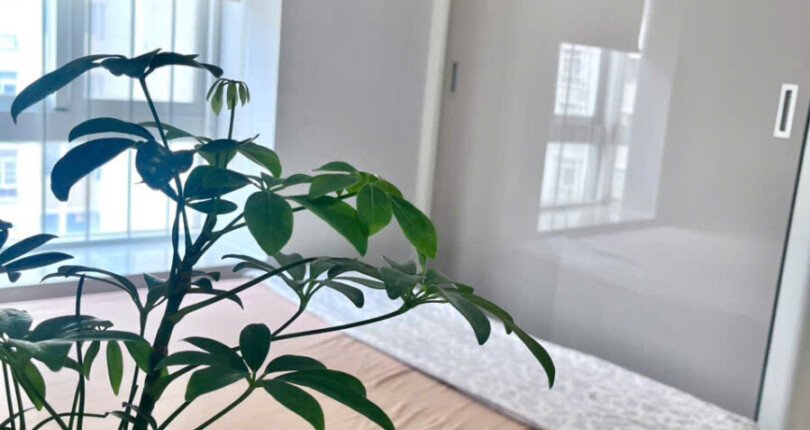 ban can ho sky garden 3 10 2 810x430 - Cho thuê căn hộ Sky Garden 3. DT 56m2 Nhà đẹp- Nội thất mới- 2 Phòng-1wc- Lầu cao- View nam- Giá 4.450 Tỷ