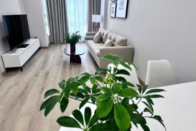 ban-can-ho-sky-garden-3 (2)