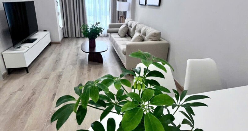 ban can ho sky garden 3 2 3 810x430 - Cho thuê căn hộ Sky Garden 3. DT 56m2 Nhà đẹp- Nội thất mới- 2 Phòng-1wc- Lầu cao- View nam- Giá 4.450 Tỷ