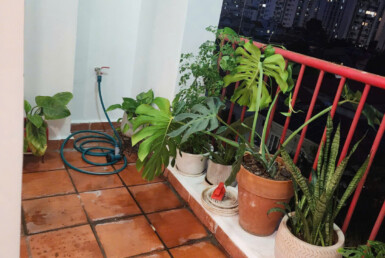 ban cong can ho 385x258 - Giá mua bán căn hộ 2pn tòa D có thang máy chung cư Mỹ Phước phường Tân Hưng giá 7,3 tỷ