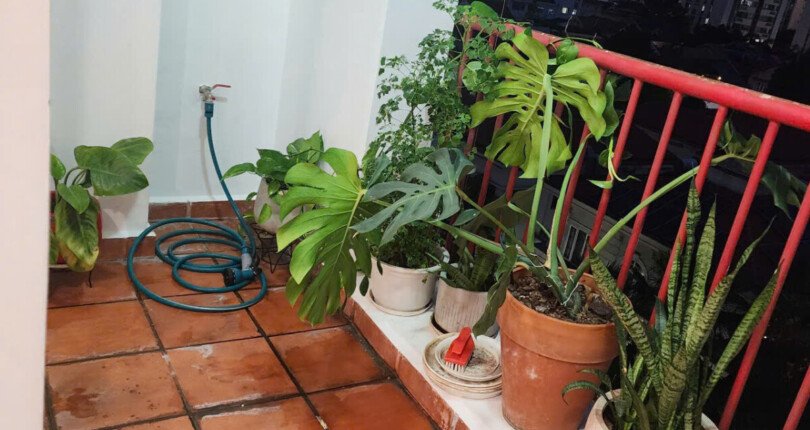 ban cong can ho 810x430 - Giá mua bán căn hộ 2pn tòa D có thang máy chung cư Mỹ Phước phường Tân Hưng giá 7,3 tỷ