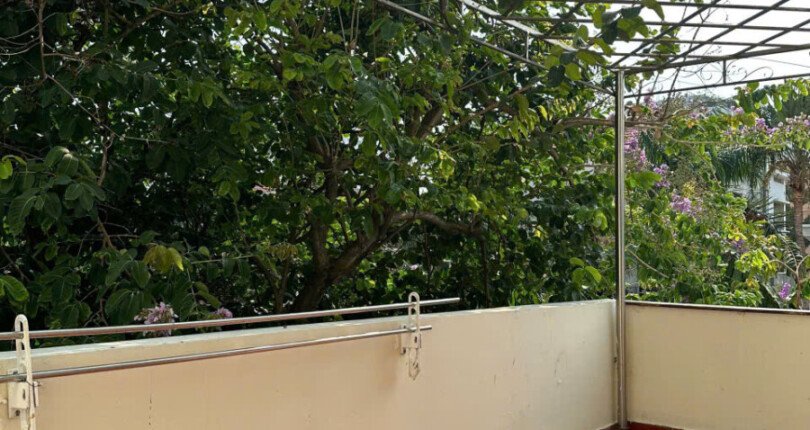 can ho ban co san vuon rong rai 810x430 - Giá mua bán căn hộ sân vườn tòa D có thang máy chung cư Mỹ Phước phường Tân Hưng T10/2025