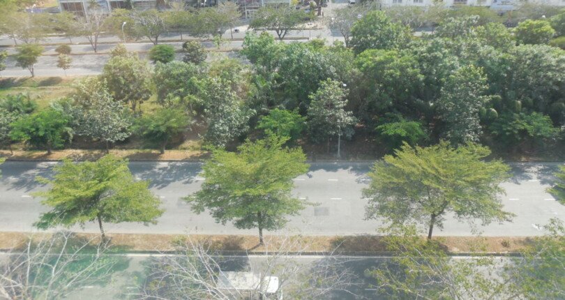 can ho ban lien ke duong nguyen van linh 810x430 - Giá mua bán căn hộ 3pn - 116m2 tòa D chung cư Happy Valley T10/2025