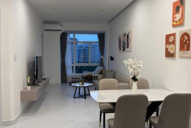 cho-thue-can-ho-sky-garden-3 (10)