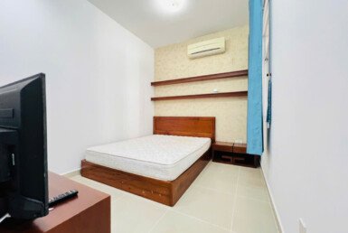 cho-thue-can-ho-sky-garden-3 (6)