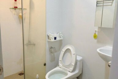 cho-thue-can-hp-scenic-valley (5)