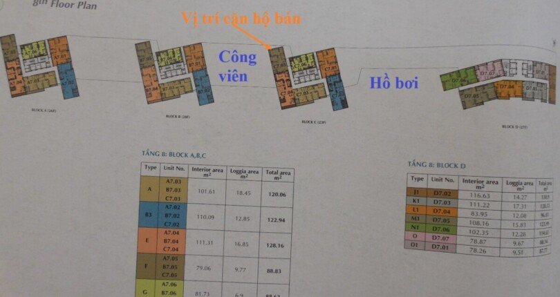 mat bang vi tri can ho ban 6 810x430 - Giá mua bán căn hộ 2pn tòa nhà C chung cư Green Valley phường Tân Mỹ