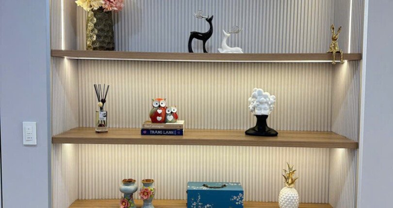 tu giay rong rai 810x430 - Giá mua bán căn hộ 3pn tòa B chung cư Scenic Valley 1 phường Tân Mỹ T11/2025