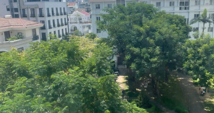view can ho ban 2 810x430 - Giá mua bán căn hộ 3pn tòa F chung cư Mỹ Phước phường Tân Hưng T10/2025