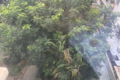 ban-can-hi-hung-vuong-2 (4)