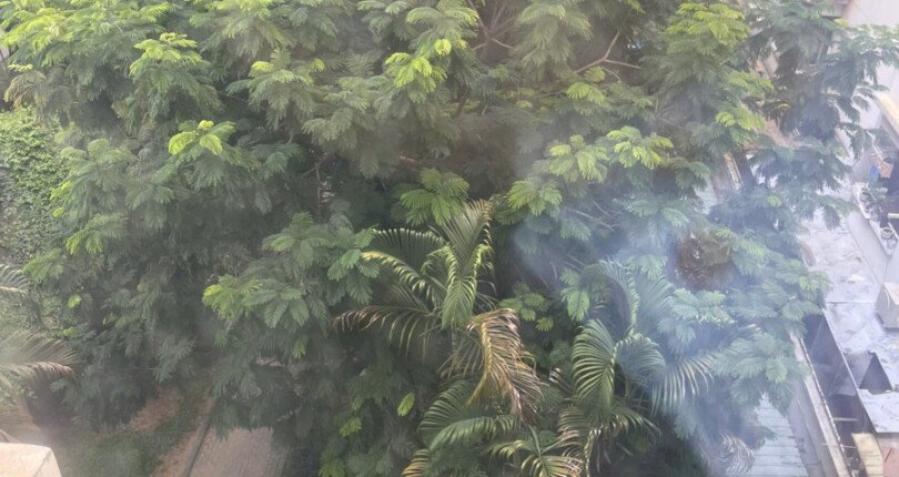 ban can hi hung vuong 2 4 810x430 - Bán nhanh căn hộ Hưng Vượng 2. DT 60m2- Đang cho thuê đến 6/2026. Thiết kế 2 Phòng-1wc- Giá tốt 4 Tỷ