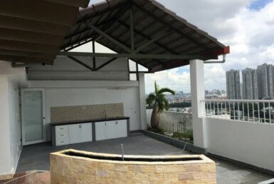 ban-can-ho-penthouse-sky-garden-3 (11)