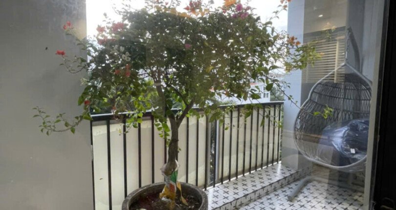ban cong phong khach can ho 810x430 - Giá mua bán căn hộ 3pn tòa nhà D chung cư Mỹ Phước phường Tân Hưng T11/2025