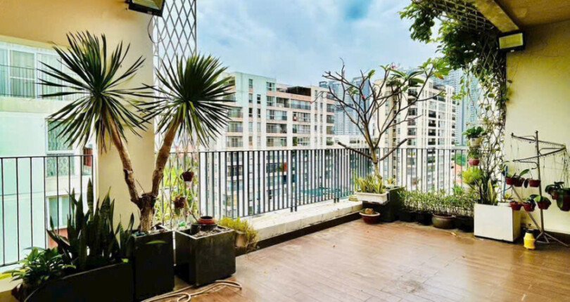 ban cong san thuong can ho ban 810x430 - Giá mua bán căn hộ Penthouse 244m2 tòa M chung cư Star Hill phường Tân Mỹ T11/2025