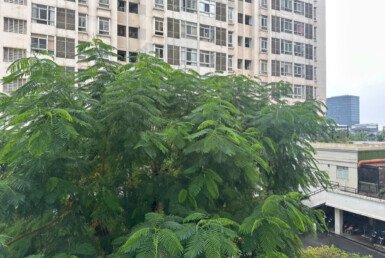 can-ho-ban-lien-ke-cong-vien-noi-khu-du-an