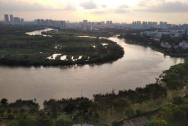 can-ho-cho-thue-truc-dien-song