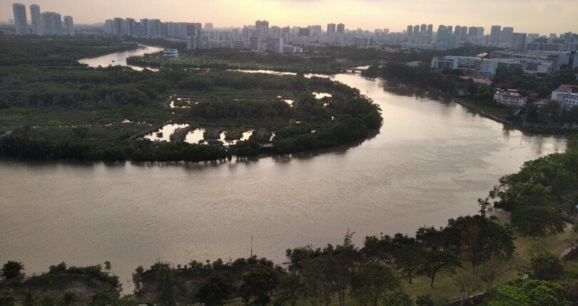 can ho cho thue truc dien song 810x430 - Giá cho thuê căn hộ 3pn tòa C chung cư Riverside Residence phường Tân Mỹ T11/2025