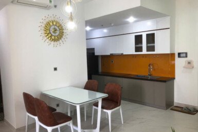 cho-thue-can-ho-midtown (13)